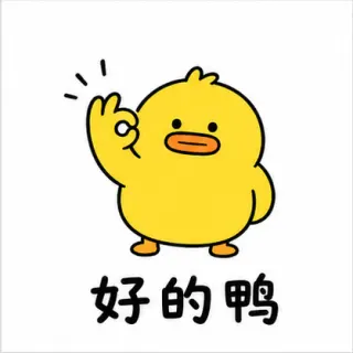 Go Duck 4