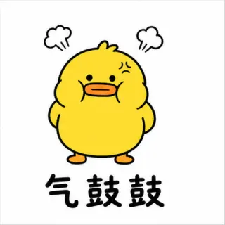 Go Duck 6