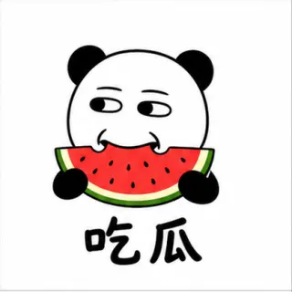 Panda Meme 6